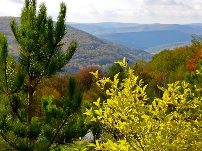 Winter Clove Family Inn Round Top ภายนอก รูปภาพ